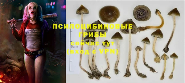 стаф Абдулино
