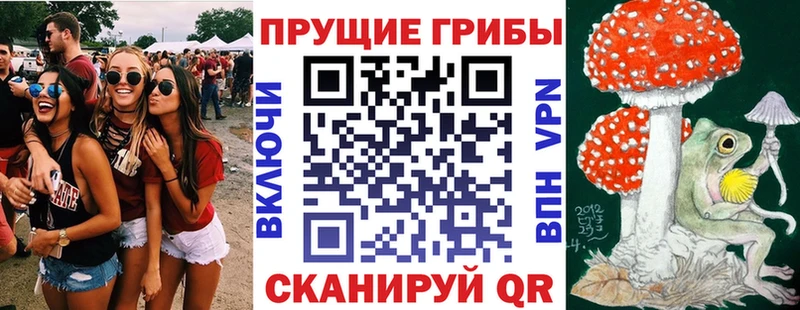 Галлюциногенные грибы GOLDEN TEACHER  купить   Краснозаводск 