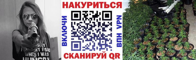 Шишки марихуана ГИДРОПОН Краснозаводск
